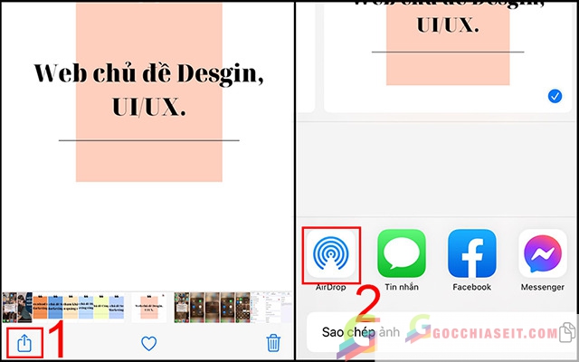 Sử dụng AirDrop để chuyển ảnh bằng từ iPhone lên máy tính macOS 4